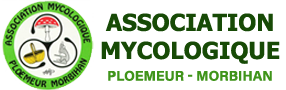 Association Mycologique Morbihan
