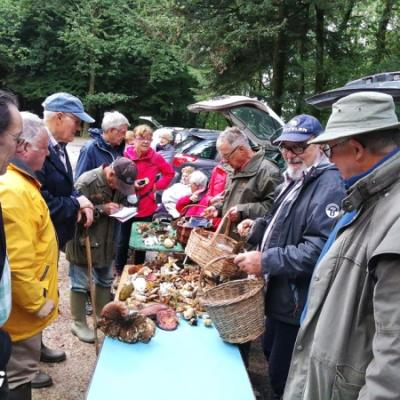 2019 09 22 Tremelin 3 20190923 1028228132