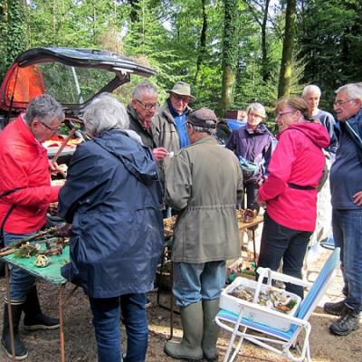 2019 09 22 Tremelin 4 20190923 1081757104