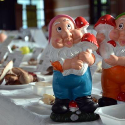 2019 10 20 Expo Rohan 3 20191205 1146612057