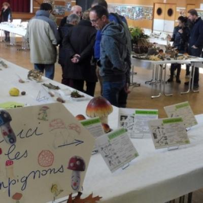 2019 10 20 Expo Rohan 4 20191205 1572092859