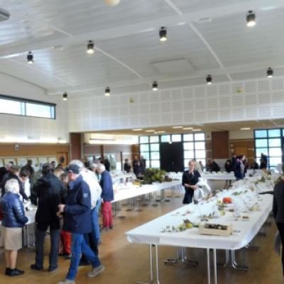 2019 10 20 Expo Rohan 7 20191205 1993216089