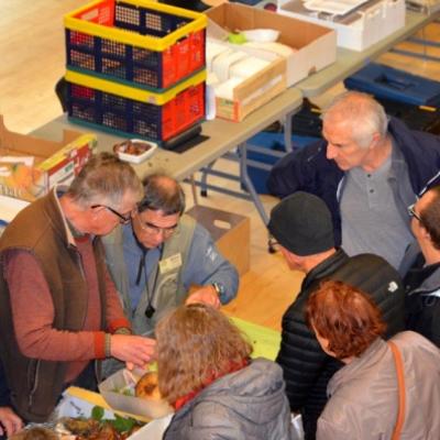 2019 11 03 Expo Ploemeur 9 20191206 1318016894