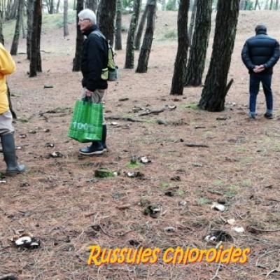 2019 11 17 Plouharnel 4 20191206 1113492926