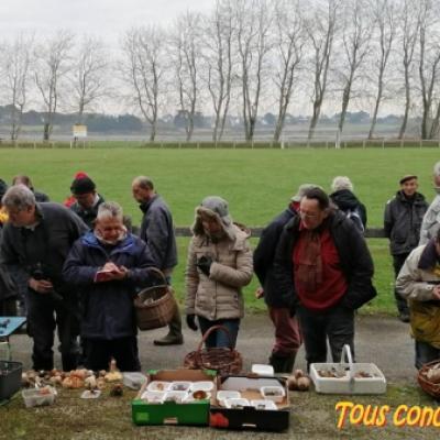 2019 11 17 Plouharnel 7 20191206 1704292521