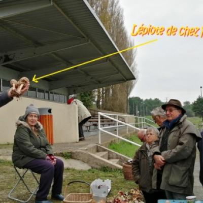 2019 11 17 Plouharnel 8 20191206 1071016061