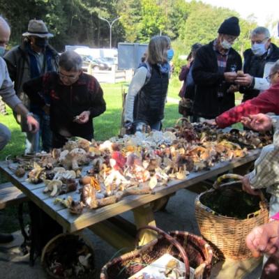 2020 09 27 Camors 2 20201002 1237777674