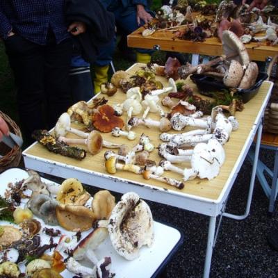 2020 10 11 Pont Callec 4 20201012 1399317661