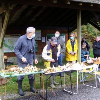 2020 10 11 Pont Callec 6 20201012 1745027696