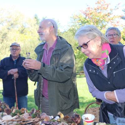 20211009 Foret De Camors Ampm 19