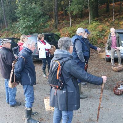 20211009 Foret De Camors Ampm 1