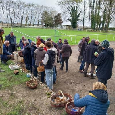 2 20241117 121114 M2hueegk7z