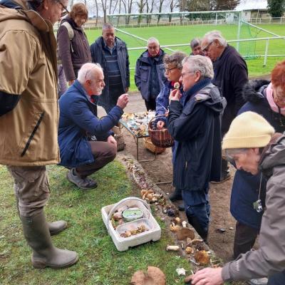 2 20241117 121126 Vfyh0k6o2p 