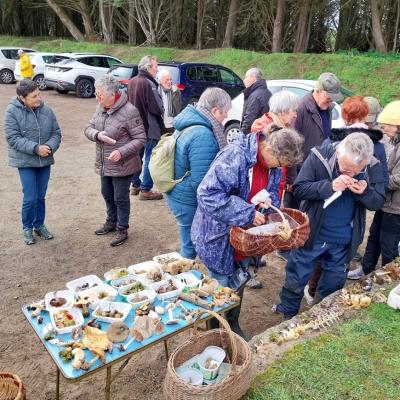 2 20241117 121201 Xqzilpgk8d