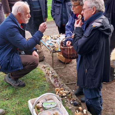 2bis 20241117 121126 Vfyh0k6o2p 