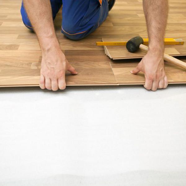 Meatloaf strip steak tri-tip shank 